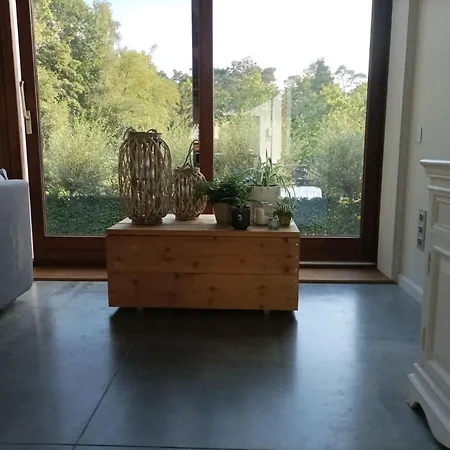 Woning Gelegen In Rustige Bosrijke Omgeving Tatil Evi Wingene