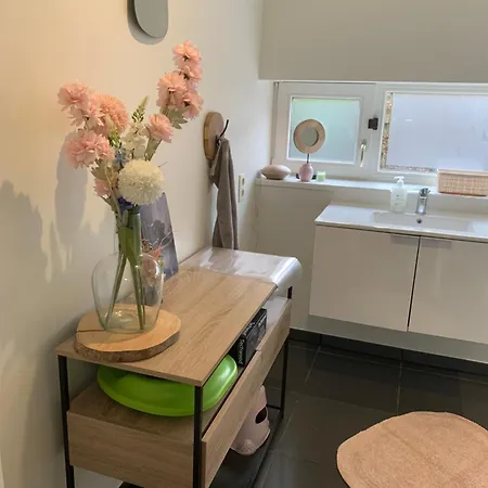 Woning Gelegen In Rustige Bosrijke Omgeving Tatil Evi Wingene